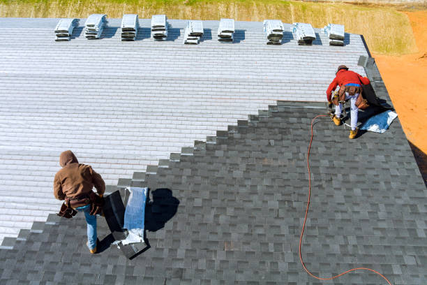 Best Roof Gutter Cleaning  in Independence, LA