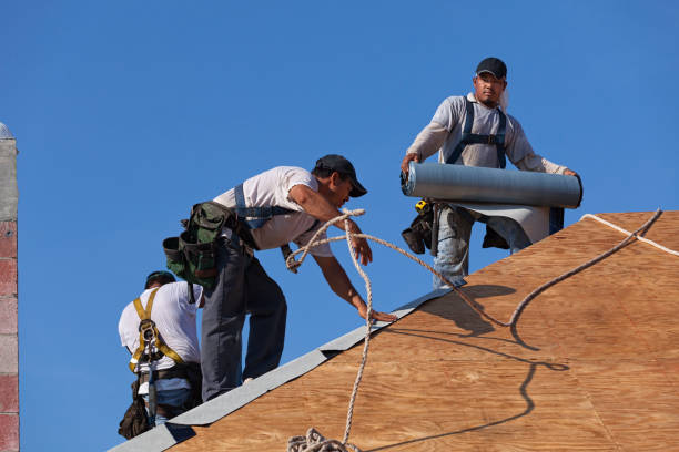 Roof Gutter Cleaning in Independence, LA